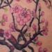 tattoo galleries/ - cherry blossom branches  - 26258