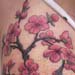 tattoo galleries/ - cherry blossom branches 