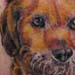 tattoo galleries/ - best pals - 26293