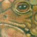 tattoo galleries/ - james christensen's frog fairie - 25085