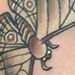 tattoo galleries/ - untitled - 25077