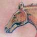 tattoo galleries/ - Mustang Tattoo - 6098