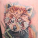 tattoo galleries/ - red panda