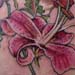 tattoo galleries/ - lily with herbs and flowers