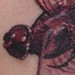 tattoo galleries/ - red dragonfly