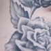 tattoo galleries/ - grey roses
