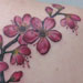 tattoo galleries/ - blossoms