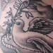tattoo galleries/ - Dove