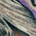tattoo galleries/ -  Old Tree