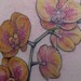 tattoo galleries/ - yellow orchids - 46446