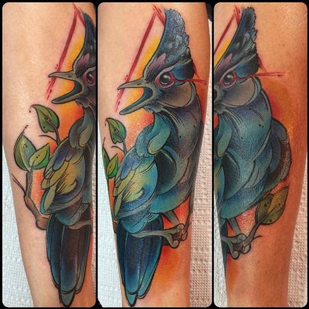 Tattoos - stellar jay - 78687