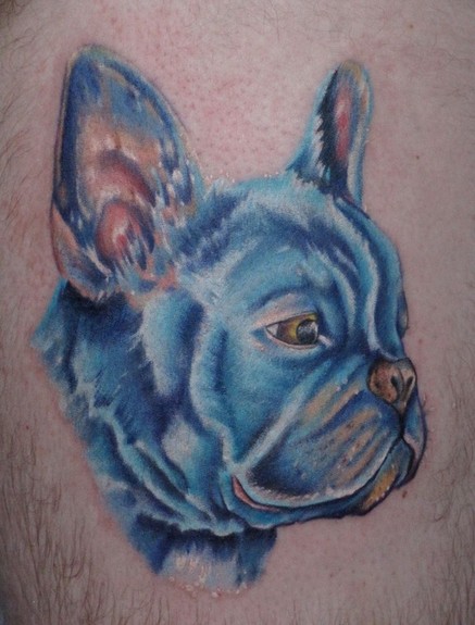 Tattoos - a rescue french bull dog portrait.... - 53119
