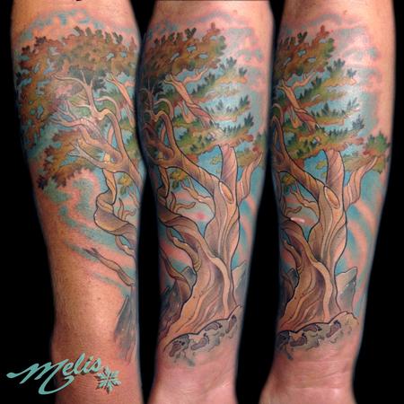Tattoos - Bristlecone Pine Tree - 93894