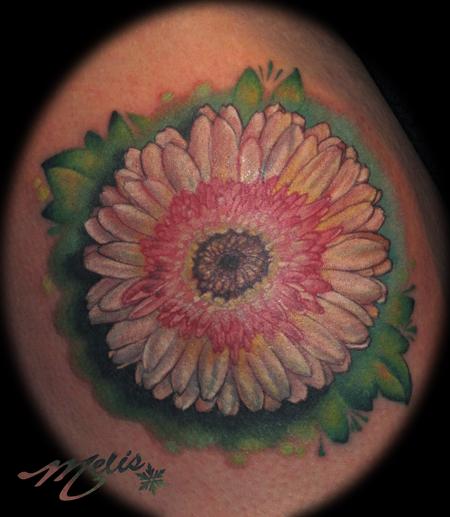 Melissa Fusco - Gerber Daisy