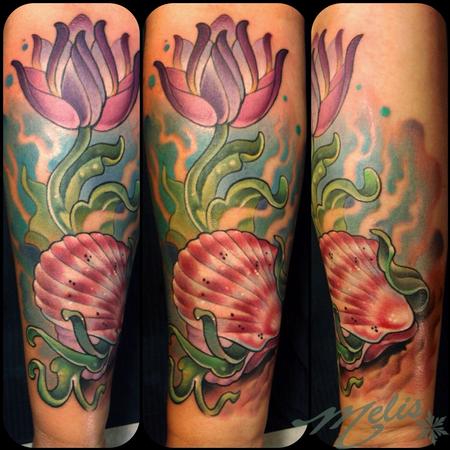 Melissa Fusco - budding scallop shell