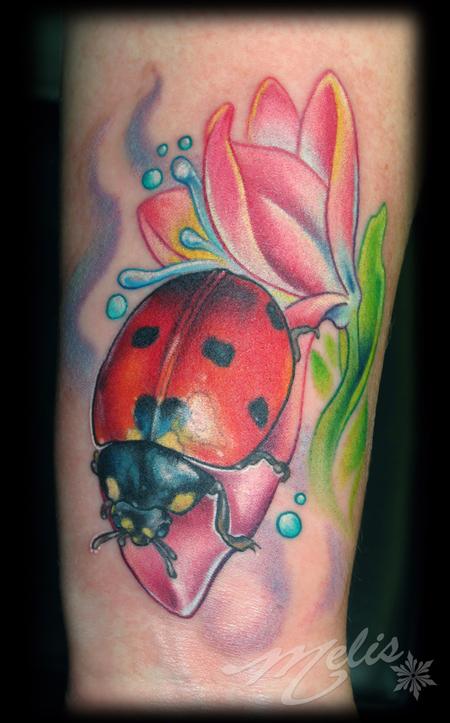 Melissa Fusco - Lady Bug