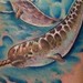 Tattoos - untitled - 50127