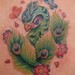 Tattoos - untitled - 50121