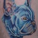 Tattoos - a rescue french bull dog portrait.... - 53119