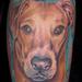 Tattoos - Dog Portrait - 66016