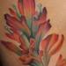 Tattoos - Indian Paint Brush Flower - 68240