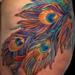 Tattoos - peacock feathers - 74273