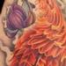 tattoo galleries/ - Perched Phoenix - 75783