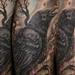 Tattoos - Raven, bird skull - 71889