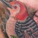 Tattoos - Woodpecker - 68007