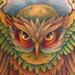 Tattoos - Owl on Stomach/chest - 62663