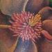 Tattoos - Magnolia Austrian mountain scene - 63526