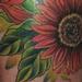 Tattoos - Sunflowers - 63527