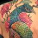 Tattoos - Peacock half back to front upper thigh - 74271