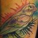 virgina's watercolor bird Tattoo Design Thumbnail