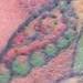 tattoo galleries/ - ganesha2 - 59052