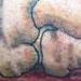 tattoo galleries/ - untitled