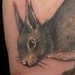 tattoo galleries/ - Squirrel Tattoo - 34699