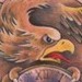 tattoo galleries/ - Color eagle chestpiece - 35492