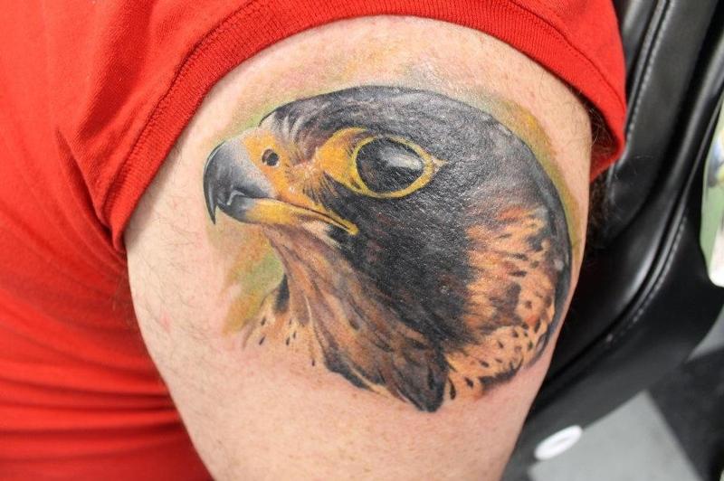off the map tattoo tattoos nature animal bird falcon off the map tattoo tattoos nature animal bird falcon