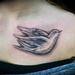 tattoo galleries/ - Dove - 59673