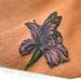 tattoo galleries/ - Iris and Butterfly - 58725