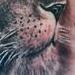 Tattoos - Lion - 62096