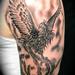 Tattoos - Phoenix in Smoke - 56247