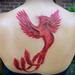 Tattoos - Fire Pheonix - 59579