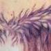 Tattoos - Red and Purple Phoenix Wings - 62488