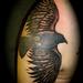 Tattoos - Soaring Crow - 55736