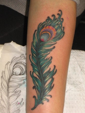 Tattoos - Peacock feather