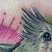 Tattoos - Bird and Book Tattoo - 54491