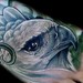 Tattoos - Foot bird tattoo - 51205