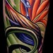 Tattoos - Bird of Paradise Tattoo - 51207